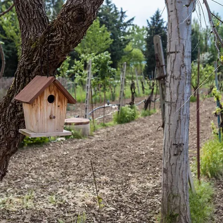 Διαμέρισμα La Casina Bianca - Discover Umbria