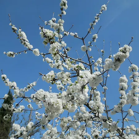 La Casina Bianca - Discover Umbria